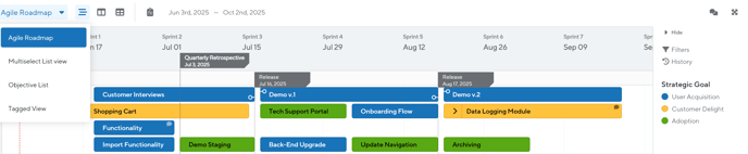 Viewers can access the different layouts and views