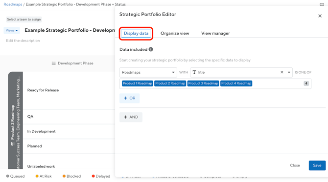 strategicportfolio-edit-displaydatatab